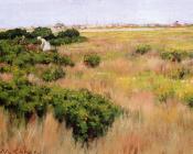 威廉梅里特查斯 - Landscape near Coney Island